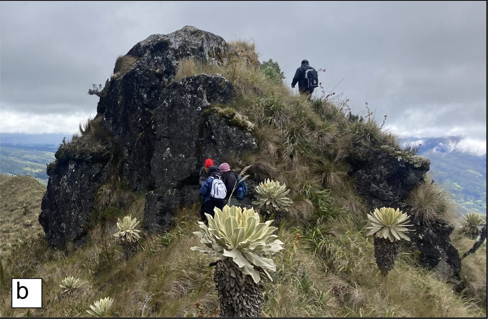 Cima del Cerro Gualcalá, Nariño, Colombia